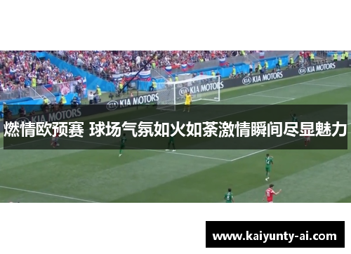 燃情欧预赛 球场气氛如火如荼激情瞬间尽显魅力