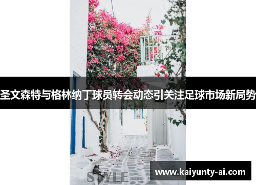 圣文森特与格林纳丁球员转会动态引关注足球市场新局势