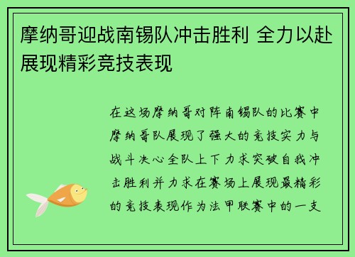 摩纳哥迎战南锡队冲击胜利 全力以赴展现精彩竞技表现
