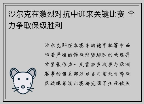 沙尔克在激烈对抗中迎来关键比赛 全力争取保级胜利