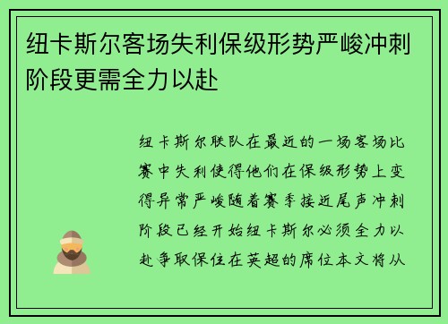纽卡斯尔客场失利保级形势严峻冲刺阶段更需全力以赴